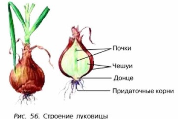 Как купить наркотик в кракен